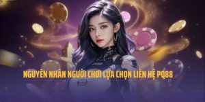 Liên hệ PQ88