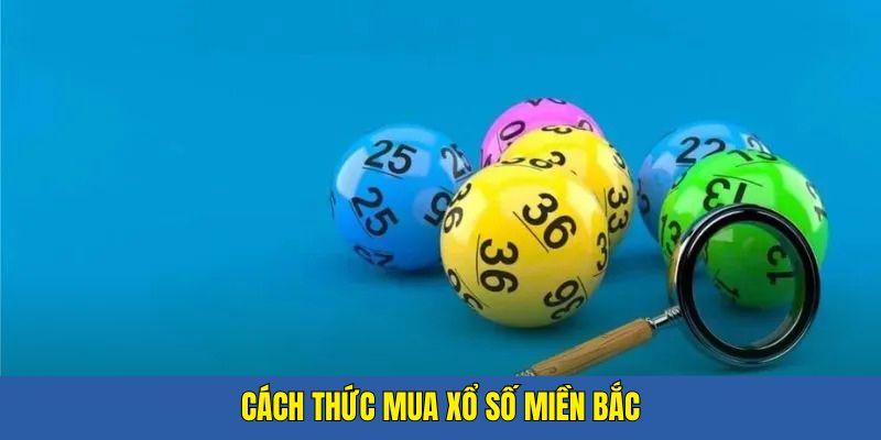 Giao diện tra cứu kết quả mở thưởng xổ số miền bắc PQ88